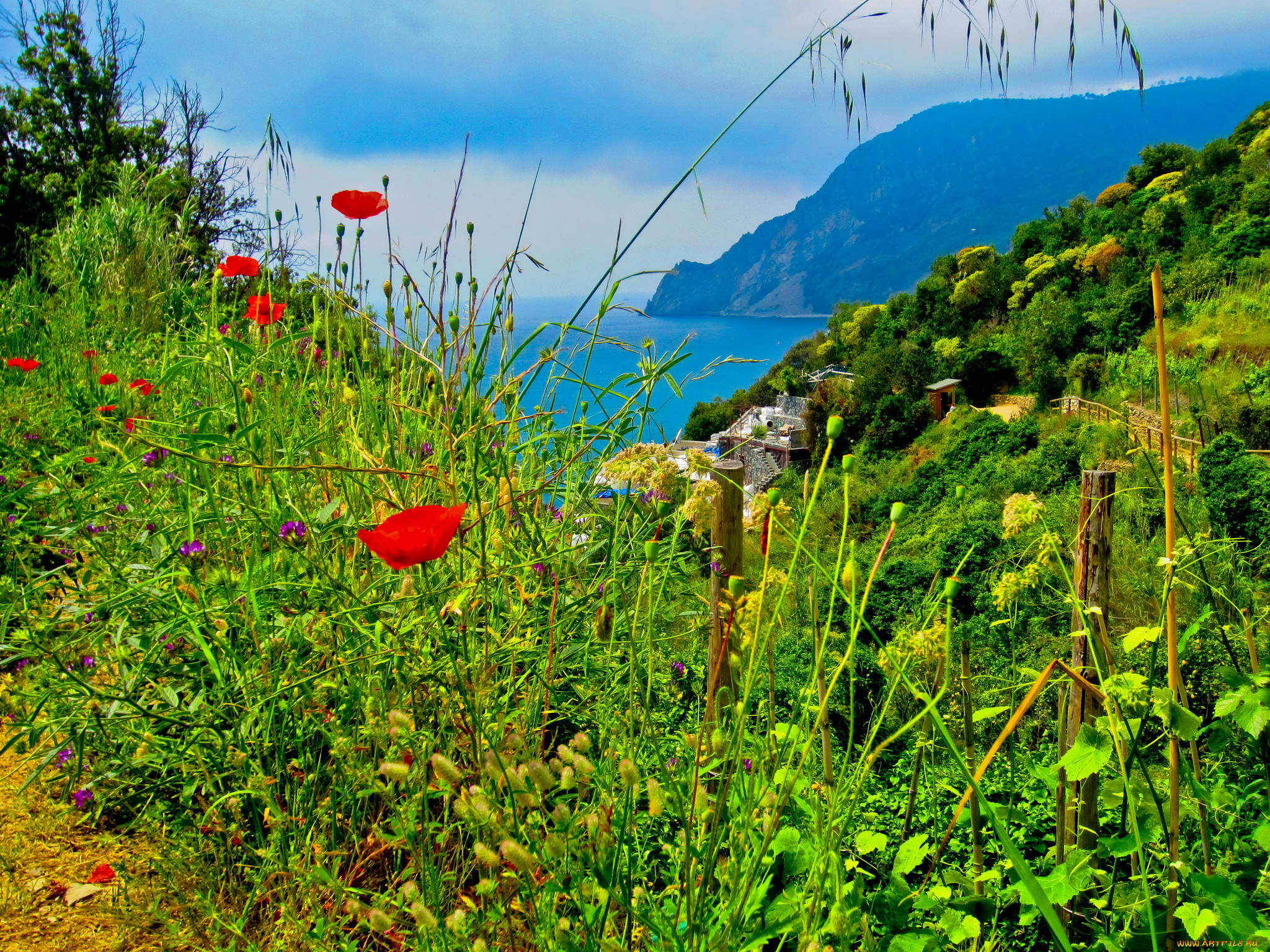 italy, cinque, terre, , , , , 